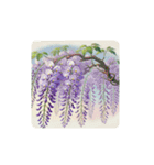 water-color flowers（個別スタンプ：24）