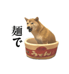 3匹のかわい子達スタンプ（個別スタンプ：8）