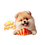 かわいいポメラニアンの犬スタンプ（個別スタンプ：1）