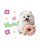 かわいいポメラニアンの犬スタンプ（個別スタンプ：2）
