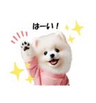 かわいいポメラニアンの犬スタンプ（個別スタンプ：5）