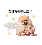 かわいいポメラニアンの犬スタンプ（個別スタンプ：13）