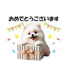 かわいいポメラニアンの犬スタンプ（個別スタンプ：14）