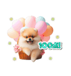 かわいいポメラニアンの犬スタンプ（個別スタンプ：22）