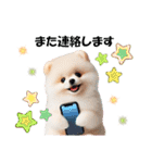 かわいいポメラニアンの犬スタンプ（個別スタンプ：26）