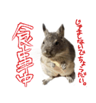 なかよしデグーワールド3（個別スタンプ：4）