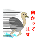 いろいろアニマル(ラフ)（個別スタンプ：26）
