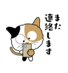 三毛猫「わび助」猫のシンプルスタンプ（個別スタンプ：33）