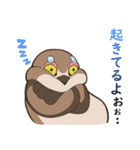 すもうとりスタンプ2（個別スタンプ：22）