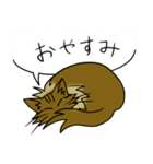 わたし、サイベリアン2（個別スタンプ：2）