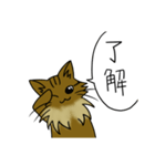 わたし、サイベリアン2（個別スタンプ：6）