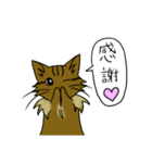 わたし、サイベリアン2（個別スタンプ：7）