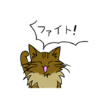 わたし、サイベリアン2（個別スタンプ：8）