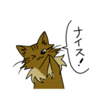 わたし、サイベリアン2（個別スタンプ：13）