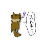 わたし、サイベリアン2（個別スタンプ：17）