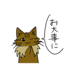 わたし、サイベリアン2（個別スタンプ：18）