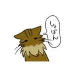 わたし、サイベリアン2（個別スタンプ：19）