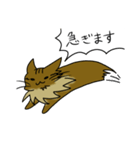 わたし、サイベリアン2（個別スタンプ：24）