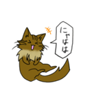 わたし、サイベリアン2（個別スタンプ：27）