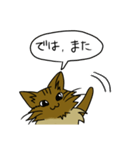 わたし、サイベリアン2（個別スタンプ：29）
