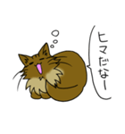 わたし、サイベリアン2（個別スタンプ：31）