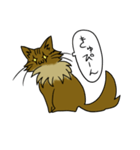 わたし、サイベリアン2（個別スタンプ：35）