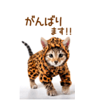 【BIG】猫いっぱい☆毎日連絡スタンプ（個別スタンプ：27）