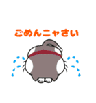 ねこまみれスタンプ（ゴリピヨ番外）（個別スタンプ：5）