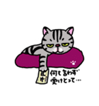 アメショベーちゃんの日常2（個別スタンプ：2）