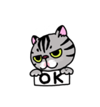 アメショベーちゃんの日常2（個別スタンプ：3）