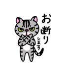 アメショベーちゃんの日常2（個別スタンプ：6）
