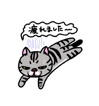 アメショベーちゃんの日常2（個別スタンプ：29）