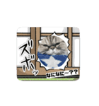 動くシャリスタンプ（個別スタンプ：9）