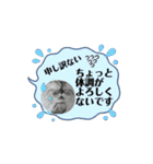 動くシャリスタンプ（個別スタンプ：11）