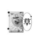動くシャリスタンプ（個別スタンプ：16）