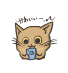 まずは猫から。（個別スタンプ：3）