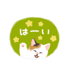 ナチュラルな毎日☆動く猫たちのスタンプ（個別スタンプ：12）