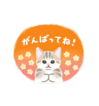 ナチュラルな毎日☆動く猫たちのスタンプ（個別スタンプ：18）