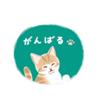 ナチュラルな毎日☆動く猫たちのスタンプ（個別スタンプ：19）