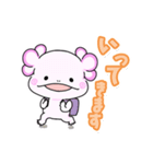 開運！ウーパールーパー(日常)（個別スタンプ：15）