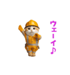 踊る！ダンス猫（現場仕事）（個別スタンプ：13）