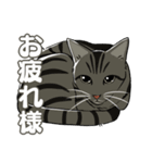 ねこちゃんぷるー 1皿目（個別スタンプ：3）