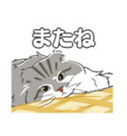 ねこちゃんぷるー 1皿目（個別スタンプ：4）