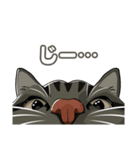 ねこちゃんぷるー 1皿目（個別スタンプ：5）