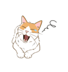 ねこちゃんぷるー 1皿目（個別スタンプ：9）