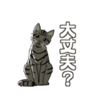 ねこちゃんぷるー 1皿目（個別スタンプ：11）