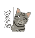 ねこちゃんぷるー 1皿目（個別スタンプ：12）