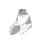ねこちゃんぷるー 1皿目（個別スタンプ：13）