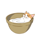 ねこちゃんぷるー 1皿目（個別スタンプ：15）