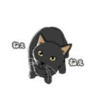 ねこちゃんぷるー 1皿目（個別スタンプ：19）